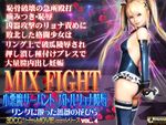 MIX FIGHT 小悪魔サーバント・バトルリョナ陵辱