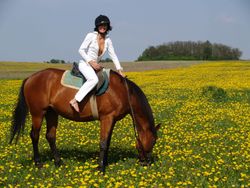 Joan White - Equestrian Queen -25lc0lcjd7.jpg