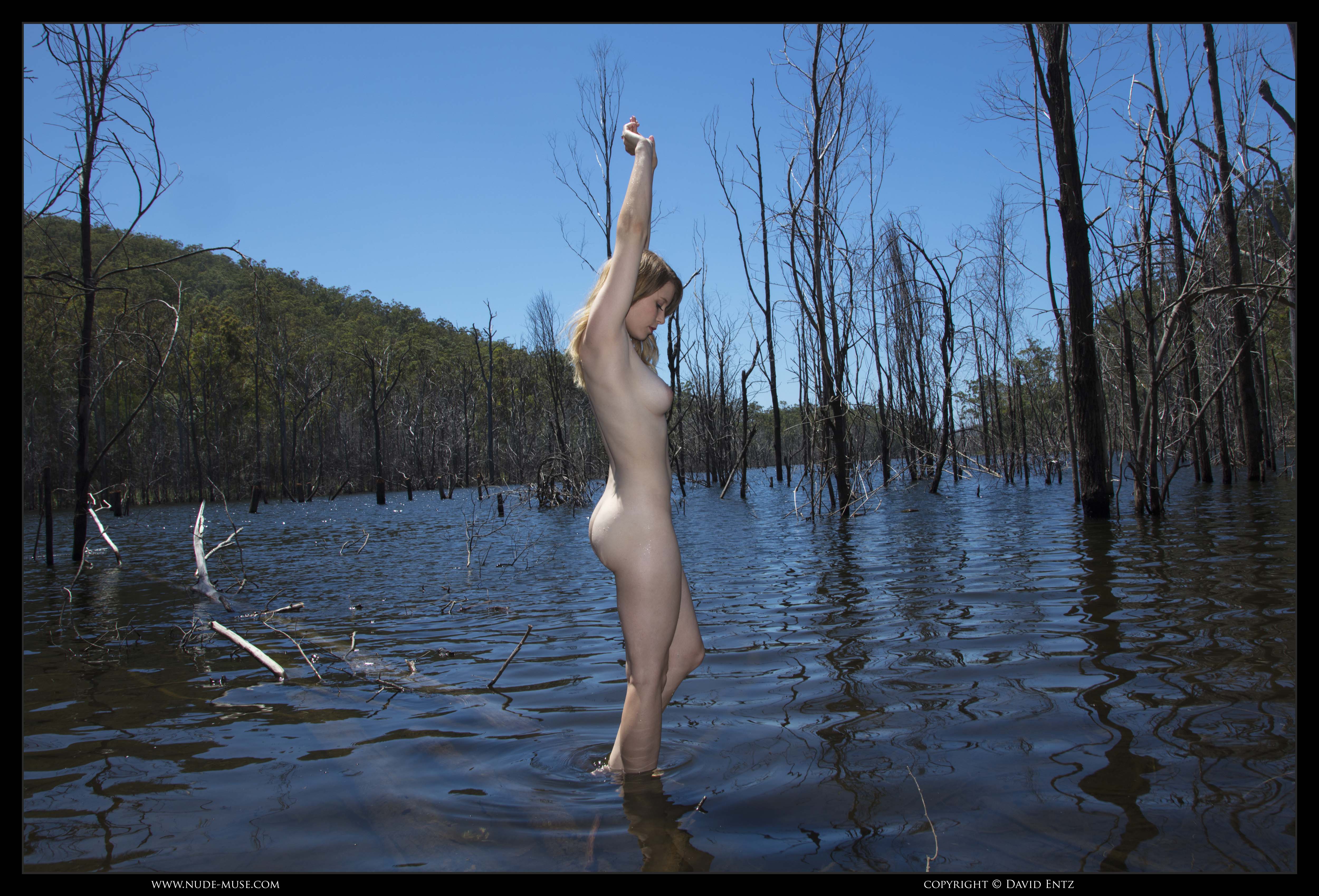nude muse misty day flooded trees 030